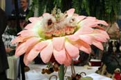 IMG_5793