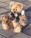 Litle Farley from Suzi's Bears.  Click here to  enlarge picture.