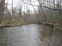 IMG_1196 (11)