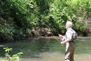 IMG_9765