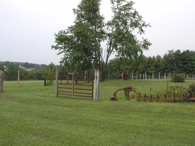 P7170077