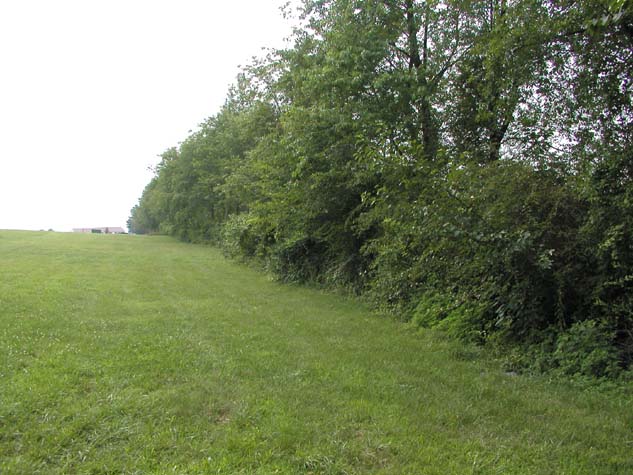 P7170101