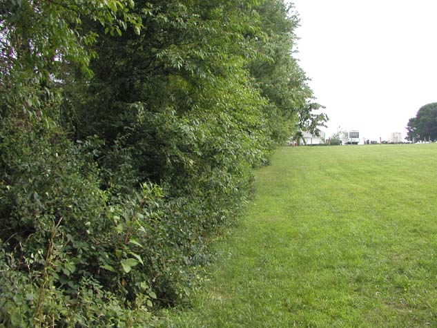P7170105