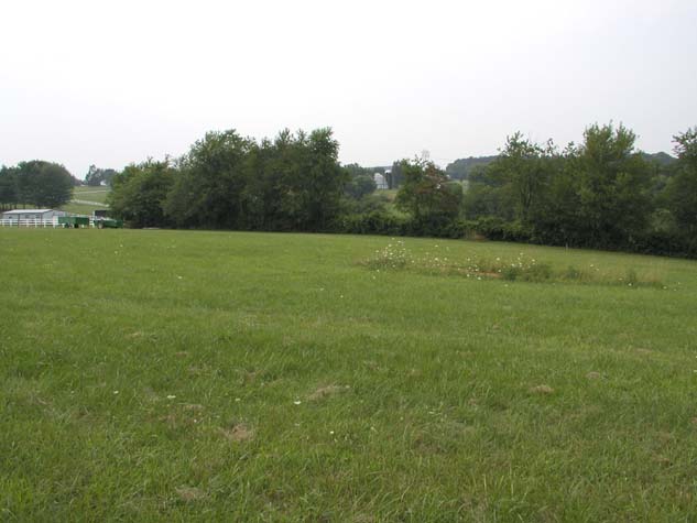 P7170108