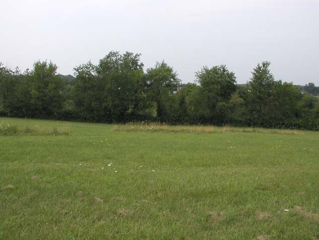 P7170109