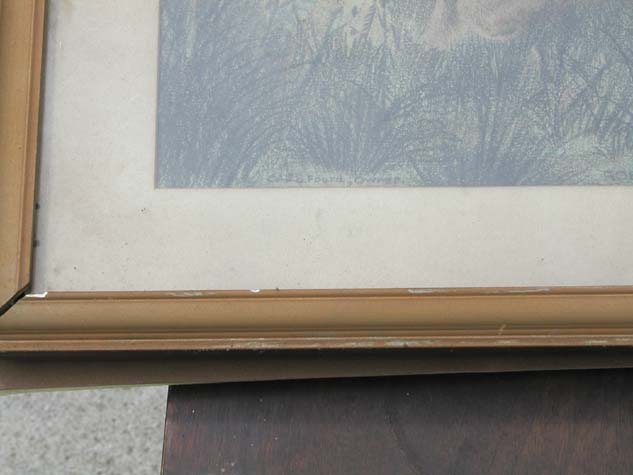 P7240157