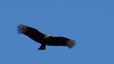 IMG_4129c1080