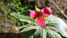 IMG_4151ac