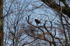 IMG_4208