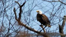 IMG_4216c1080