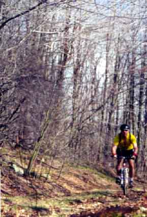 Bob pulls his way up the hills.