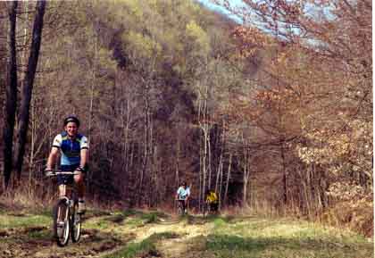 Mark makes his way up Frog Hollow.