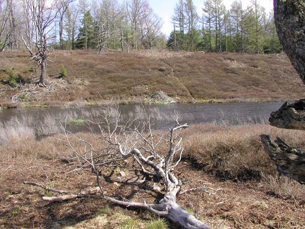 P4250013