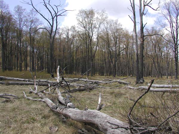 P4260021