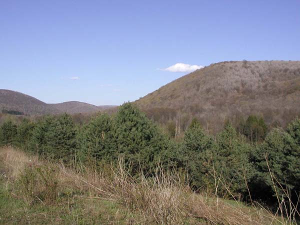 P4260030