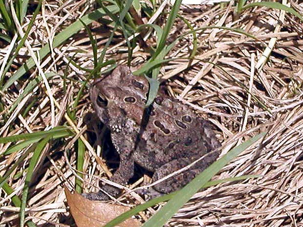 P5190479
