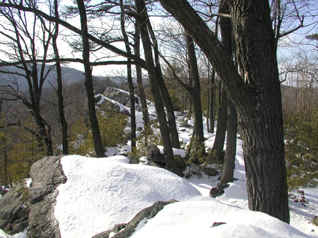P3210011