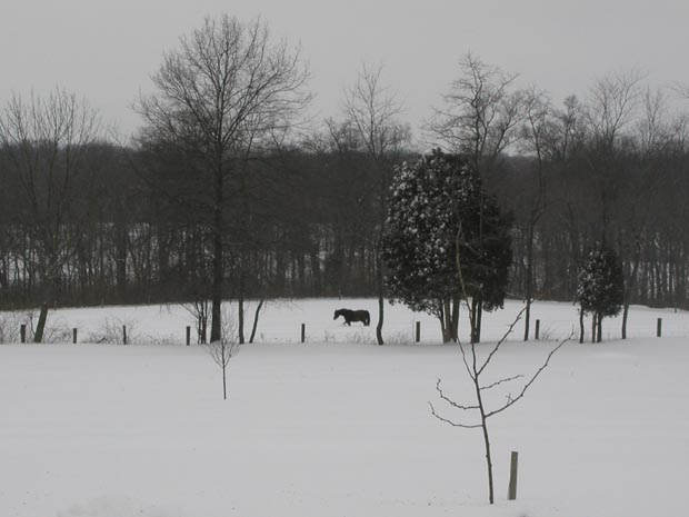 P3217011