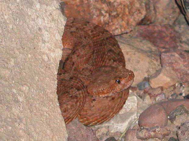 P1010149