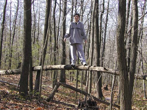 20020218-1202-Ice_in_the_trees