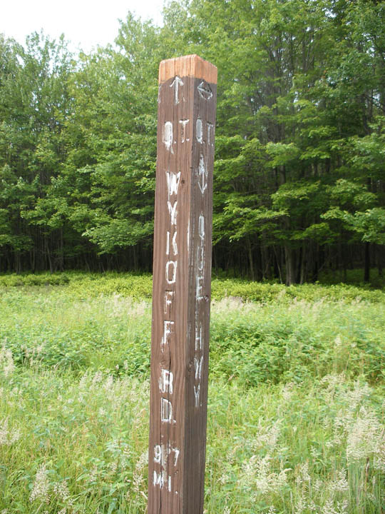 Click to access High Resolution image