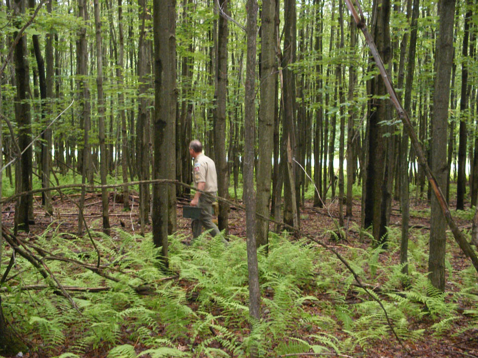 Click to access High Resolution image