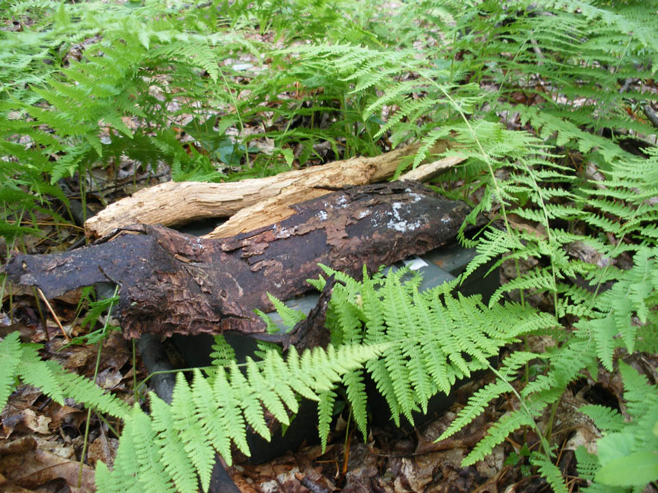 Click to access High Resolution image