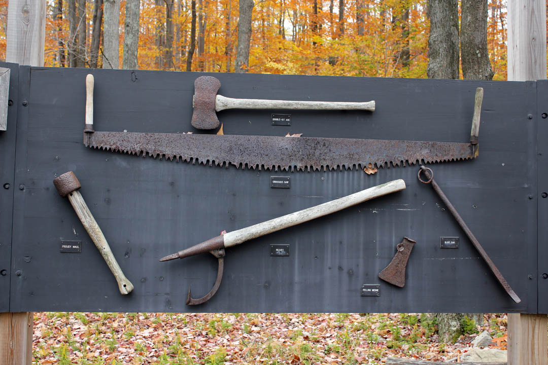 Click to access High Resolution image