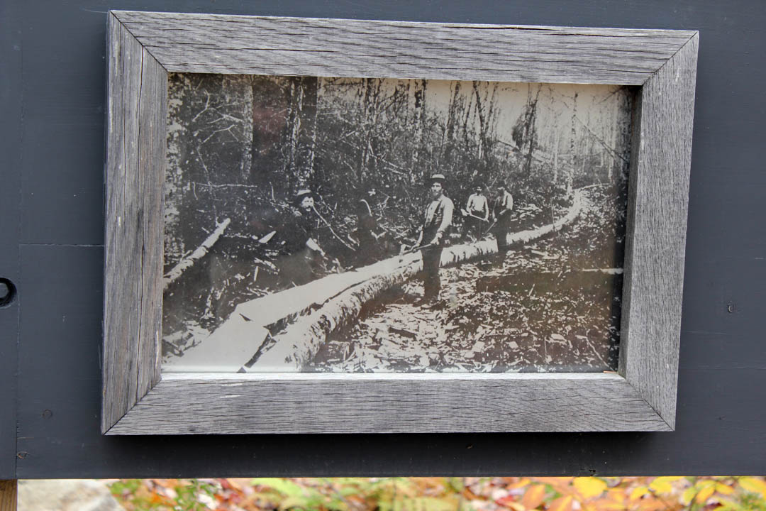 Click to access High Resolution image