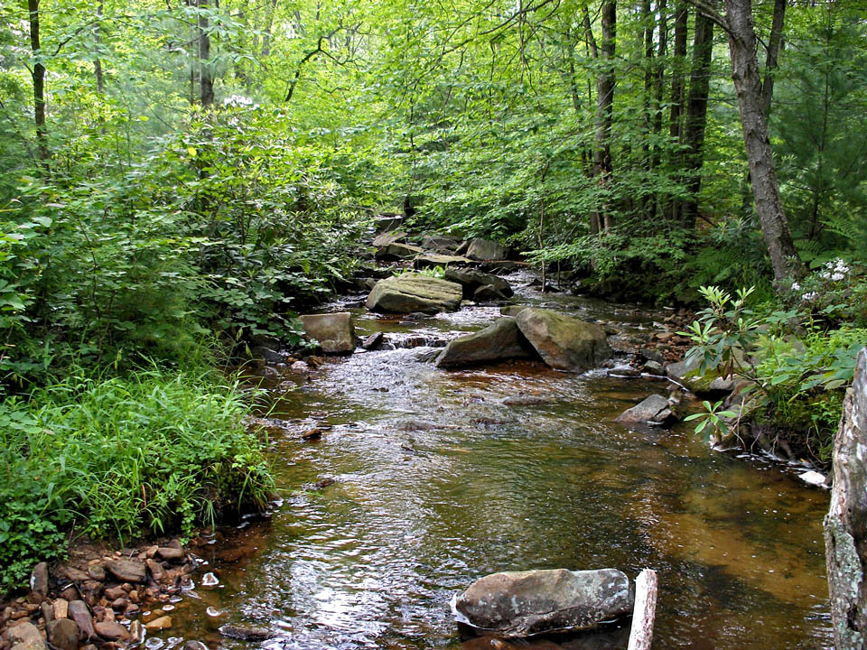 Click to access High Resolution image