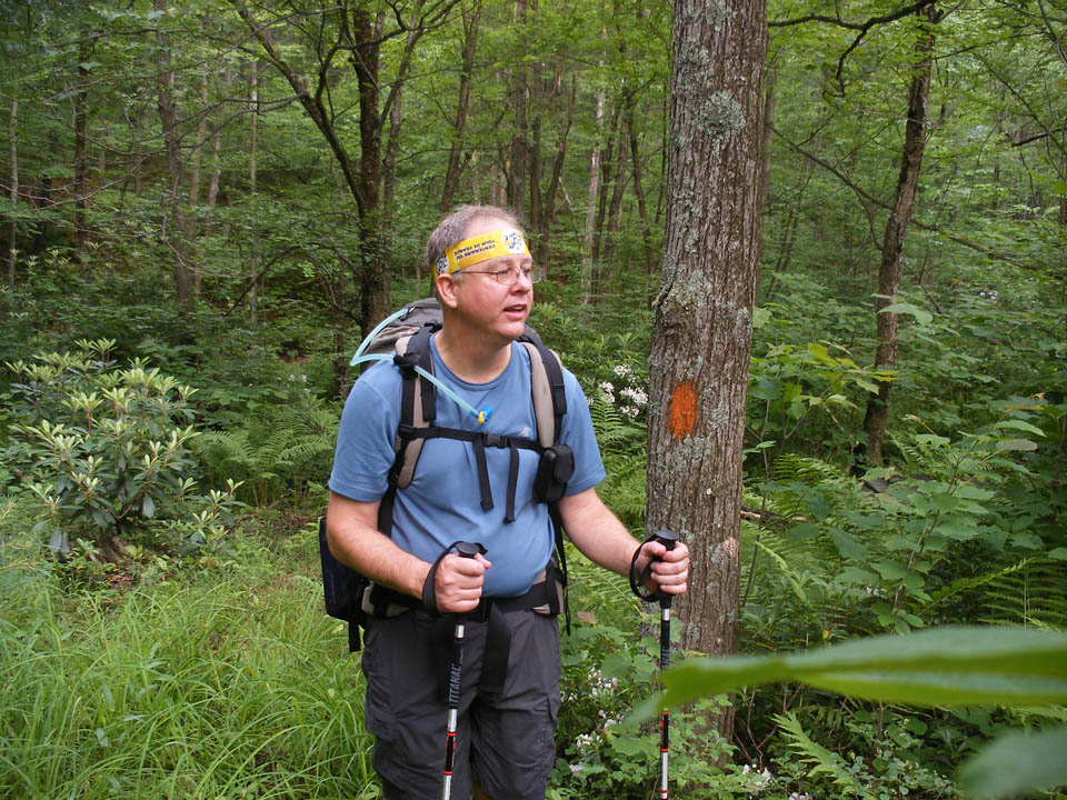 Click to access High Resolution image