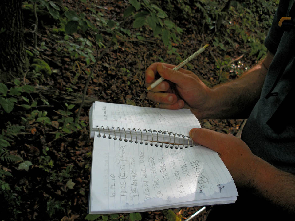 Click to access High Resolution image