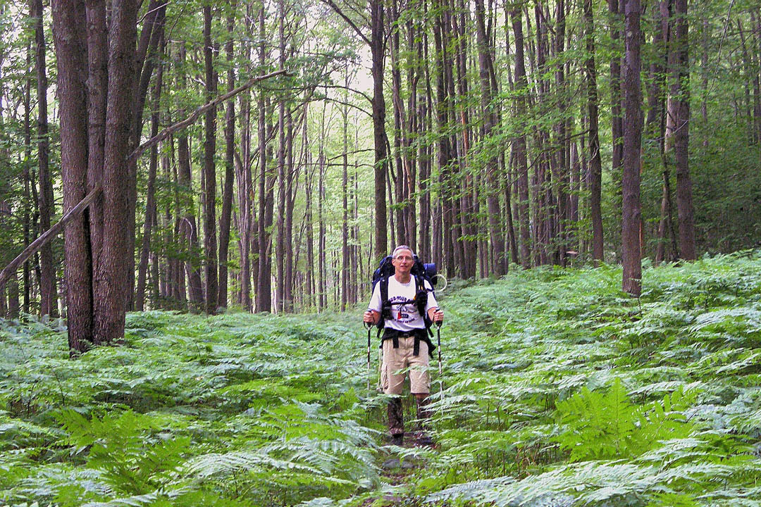 Click to access High Resolution image