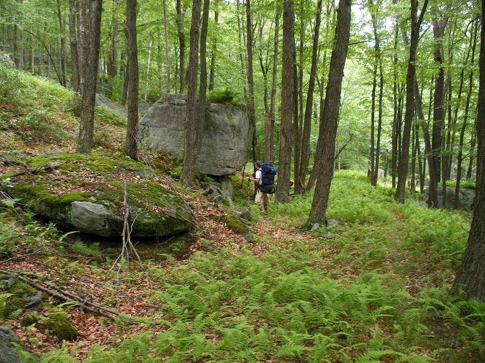 Click to access High Resolution image