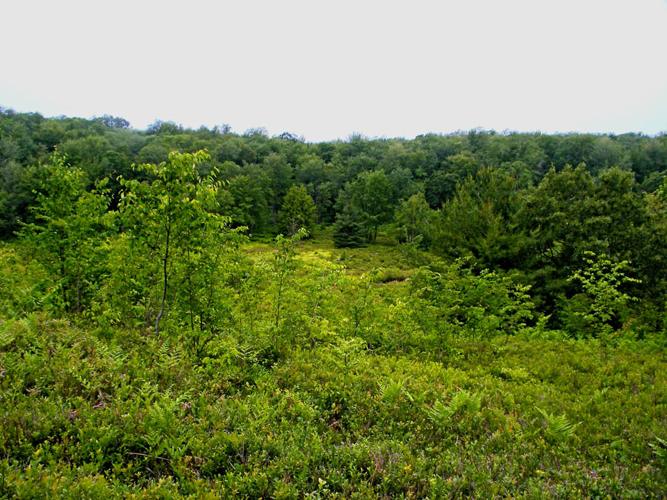 Click to access High Resolution image