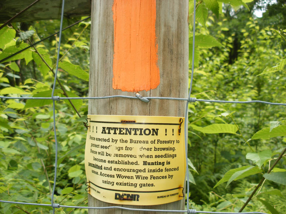 Click to access High Resolution image