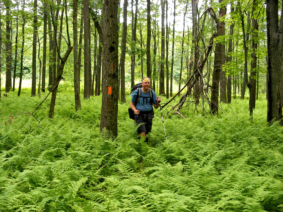 Click to access High Resolution image