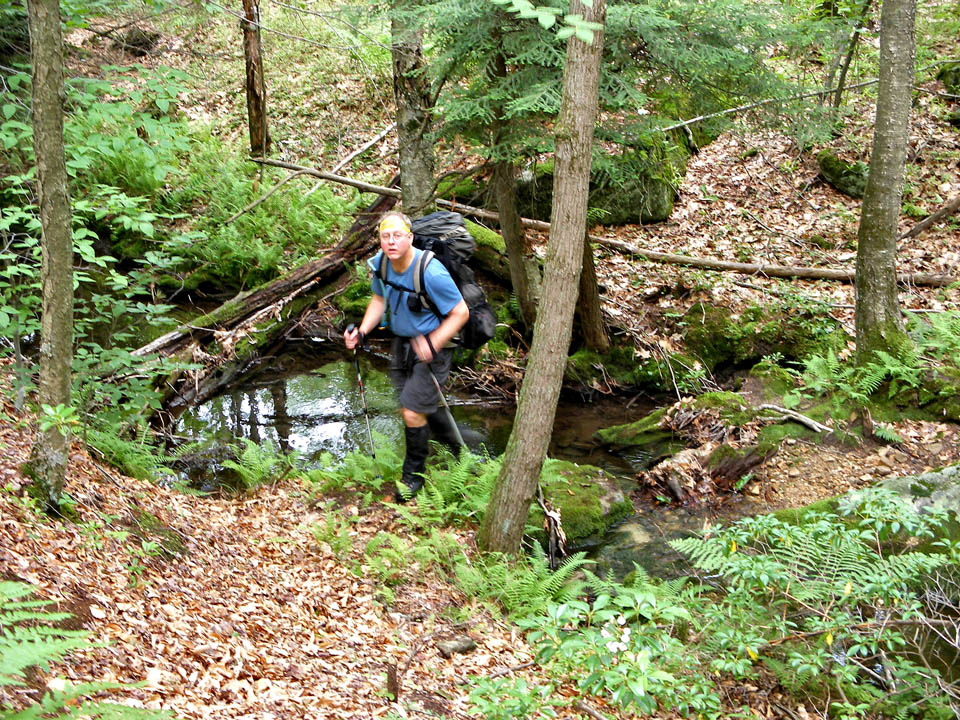 Click to access High Resolution image