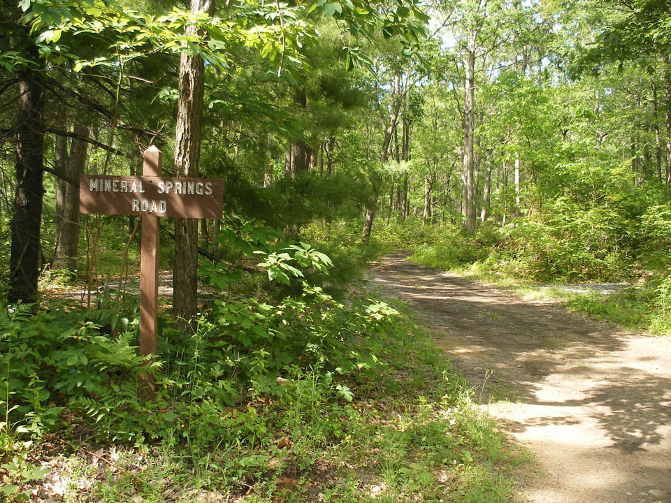 Click to access High Resolution image