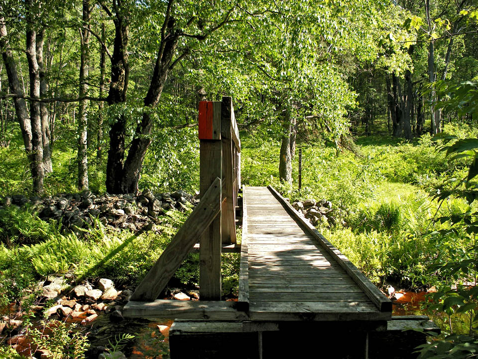 Click to access High Resolution image