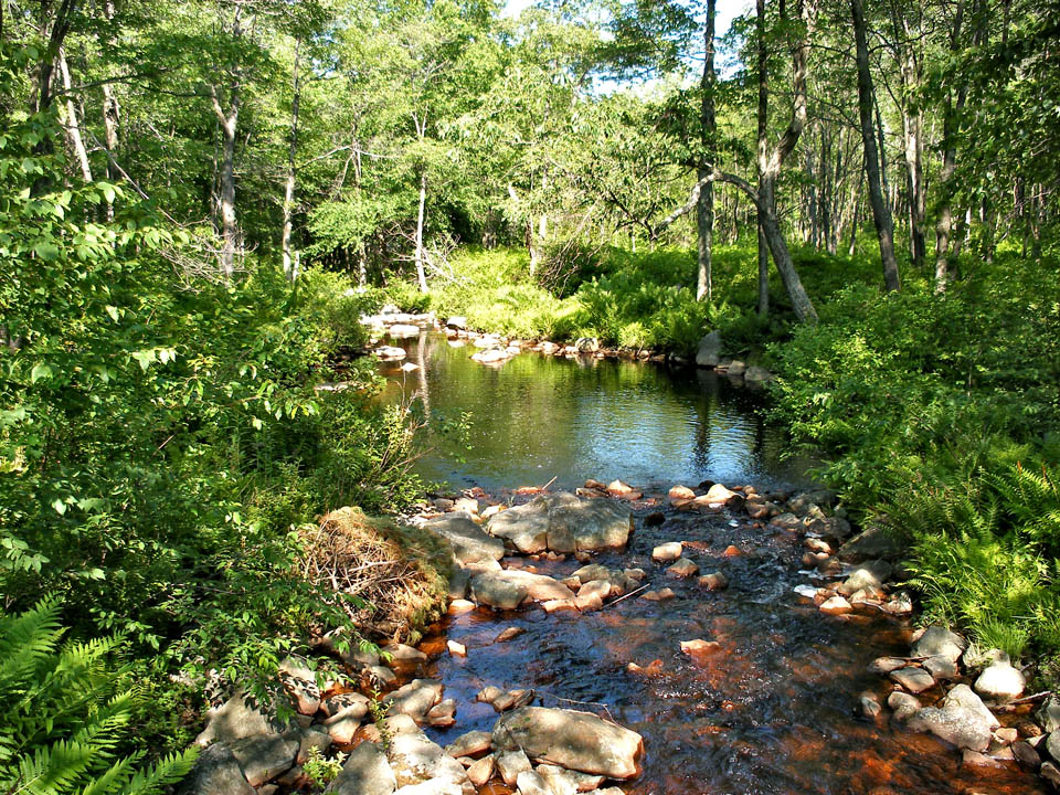 Click to access High Resolution image