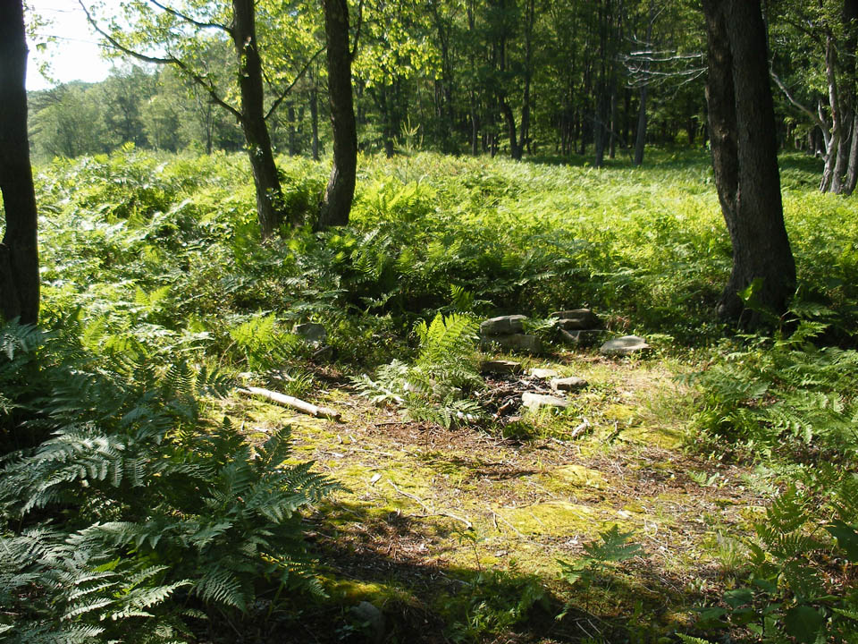 Click to access High Resolution image