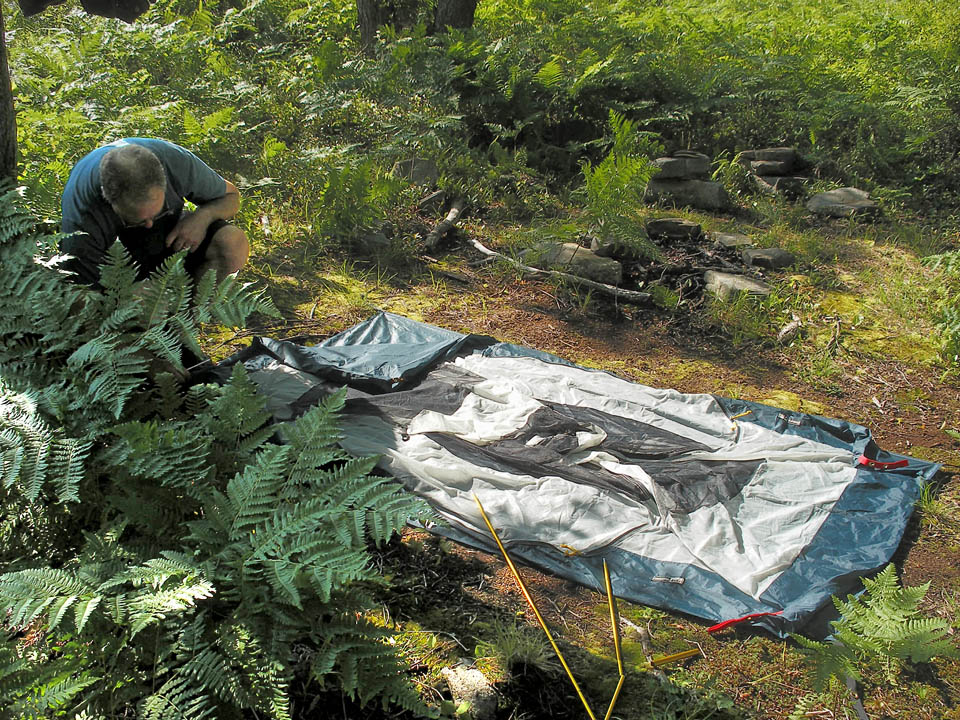 Click to access High Resolution image