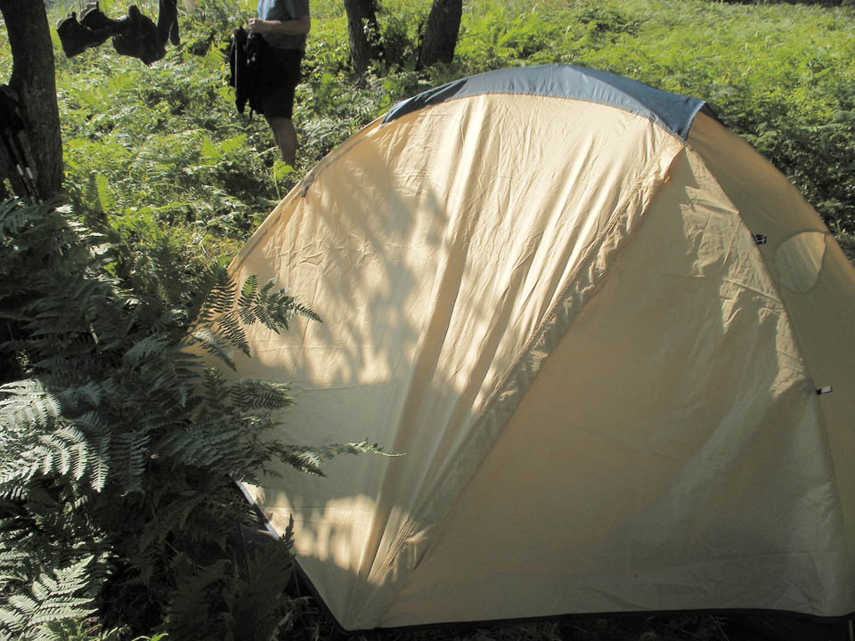 Click to access High Resolution image