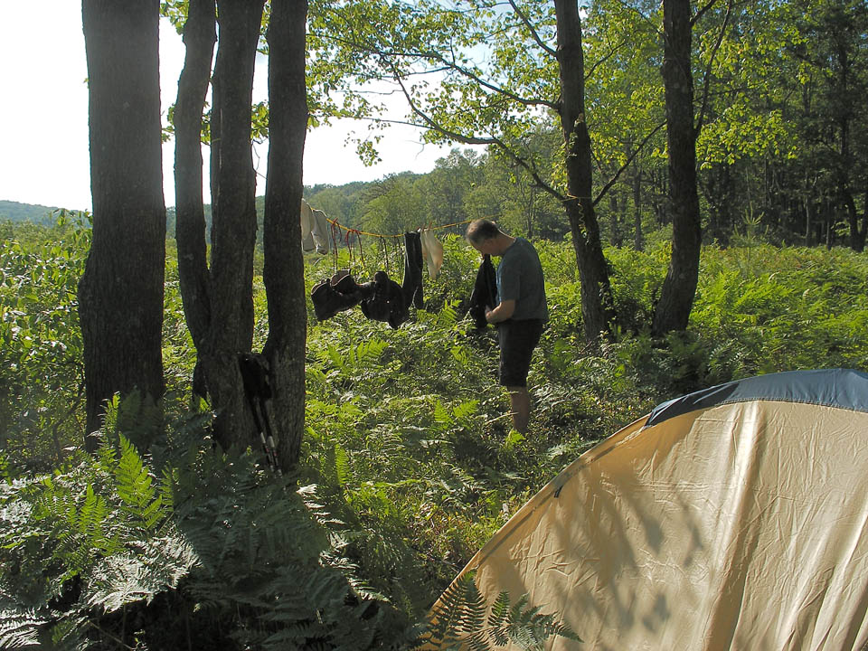 Click to access High Resolution image