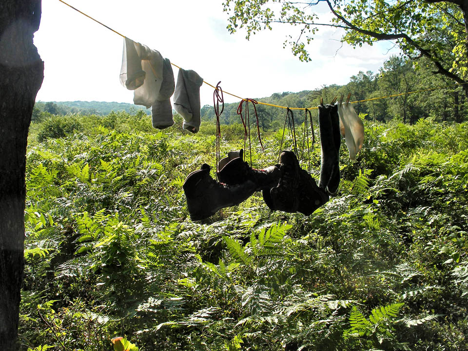 Click to access High Resolution image