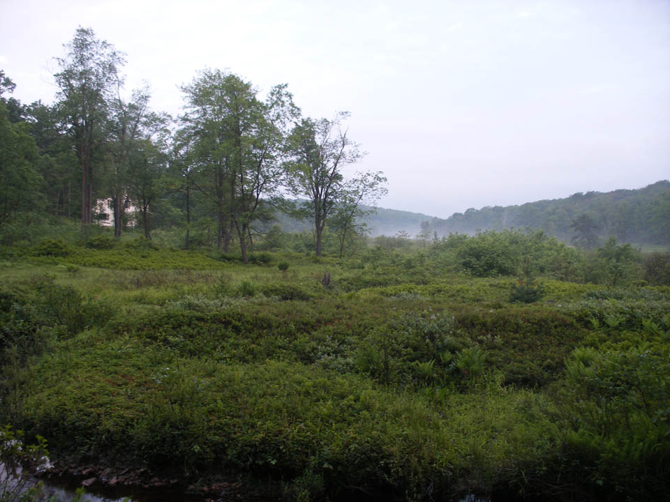 Click to access High Resolution image