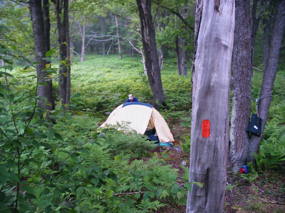 Click to access High Resolution image