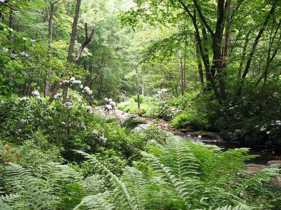 Click to access High Resolution image