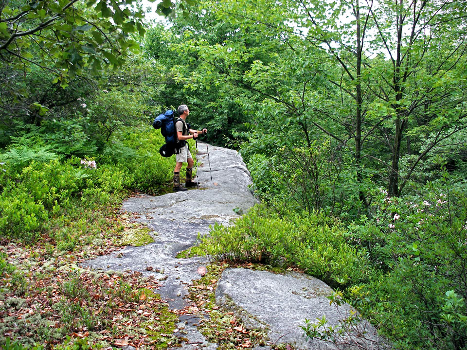 Click to access High Resolution image